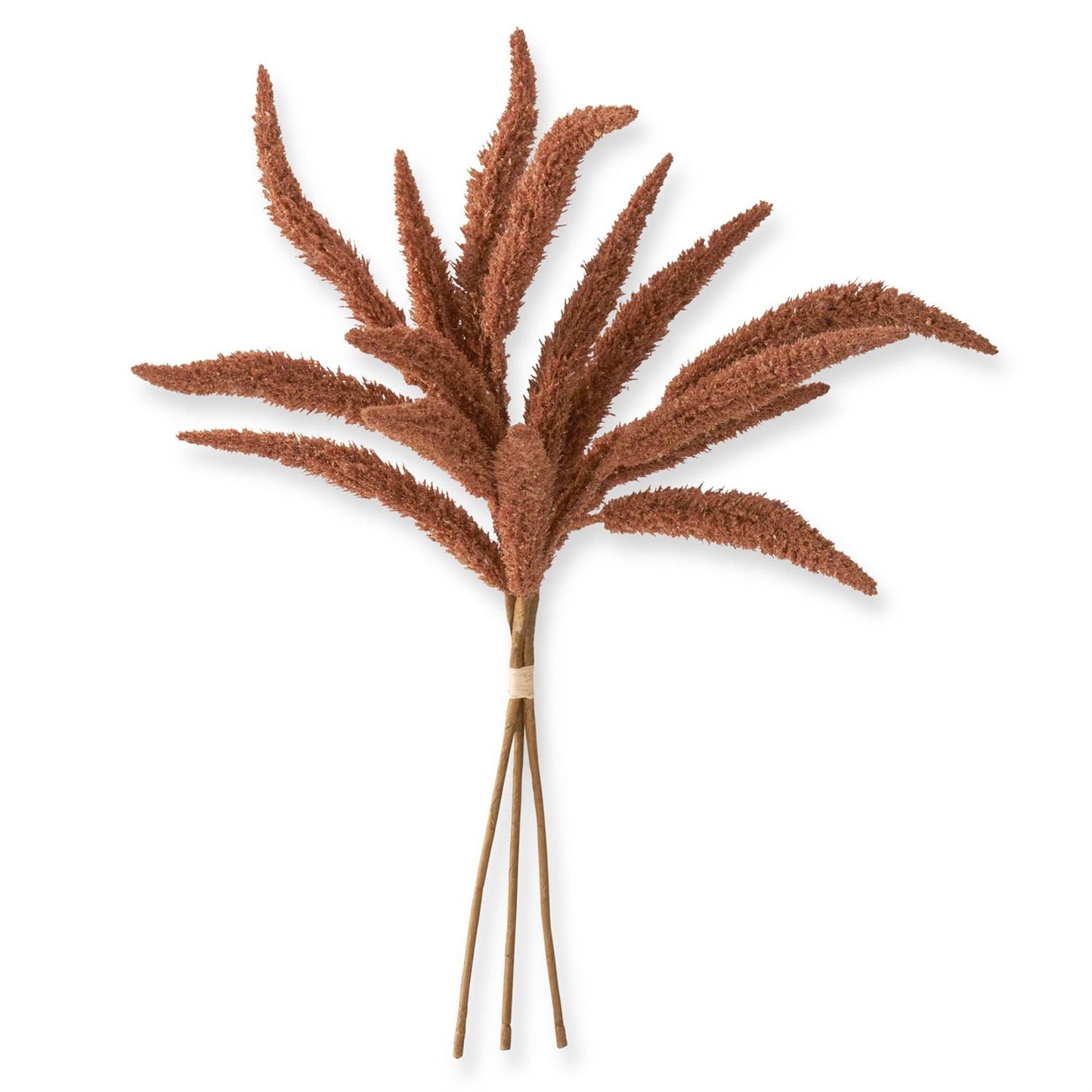Rust Millet Bundle (3 Stems)