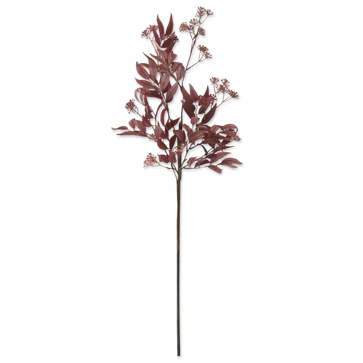 Burgundy Eucalyptus Bud &amp; Foliage Stem
