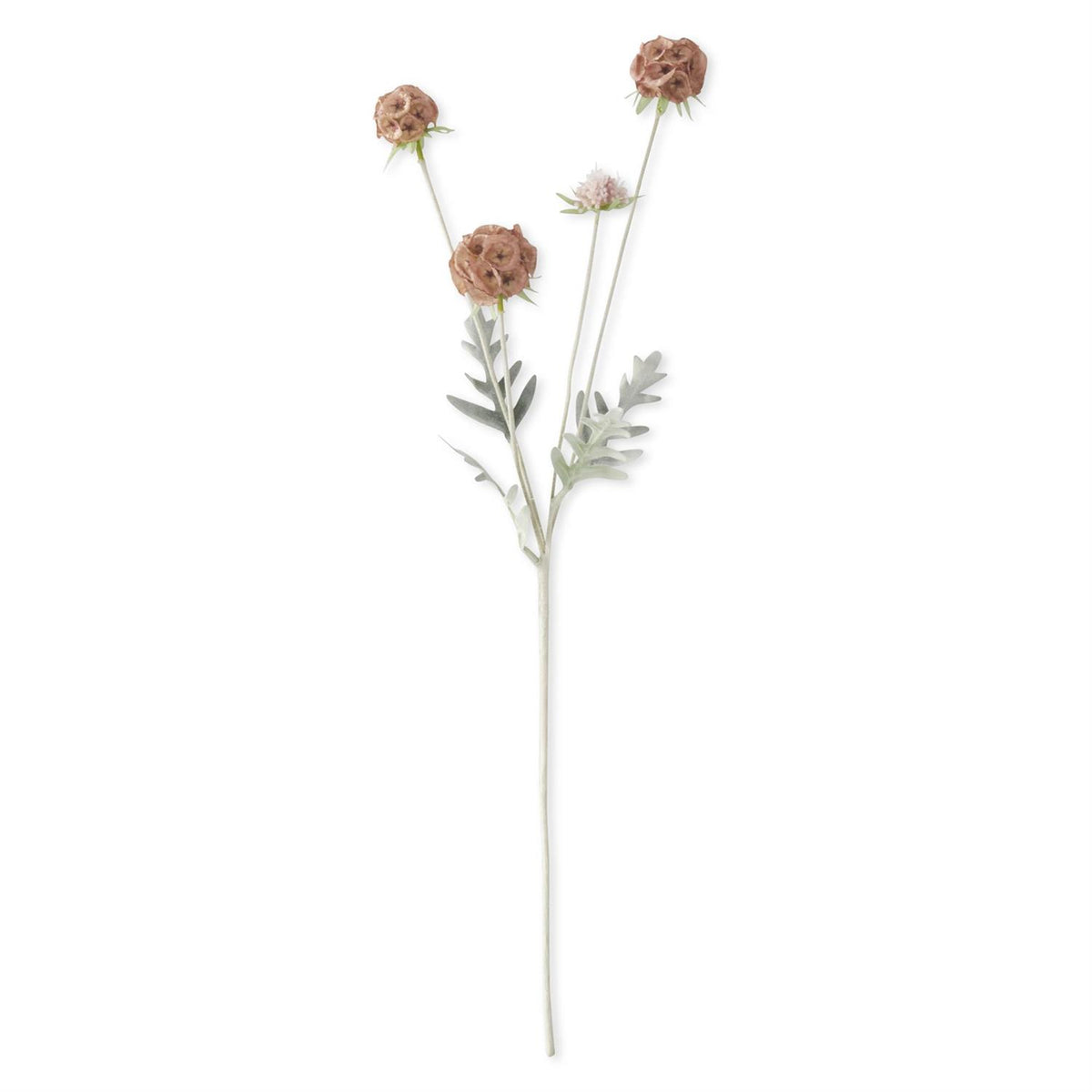 23.5-inch artificial pink scabiosa pod spray with dusty mauve pod heads and sage green foliage on a white background