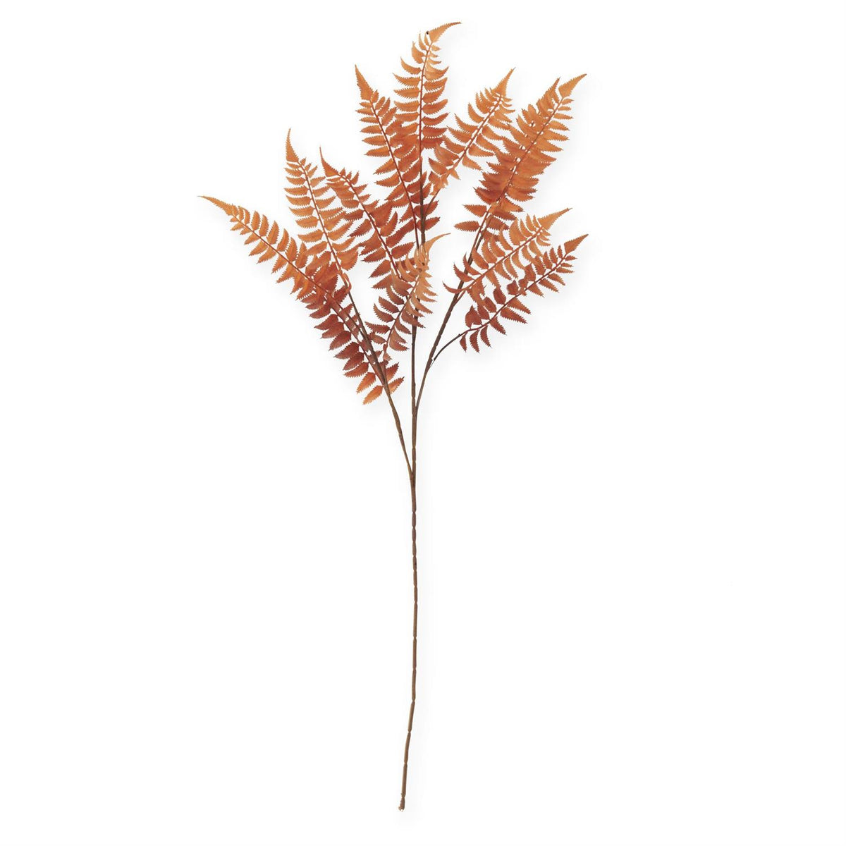 39-inch artificial orange and brown speckled lady fern spray with lacy serrated fronds on a white background