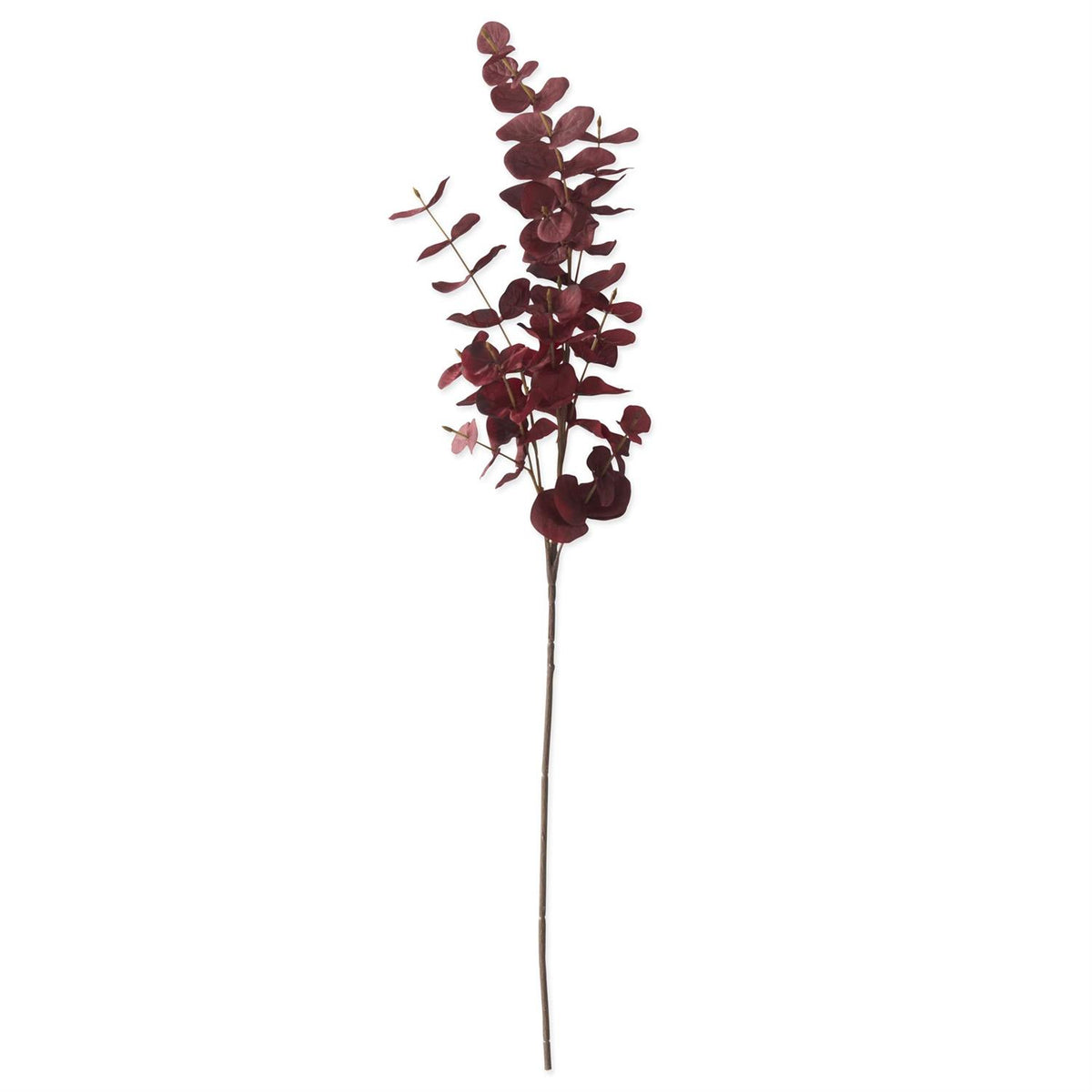 35 Inch Burgundy Eucalyptus Stem