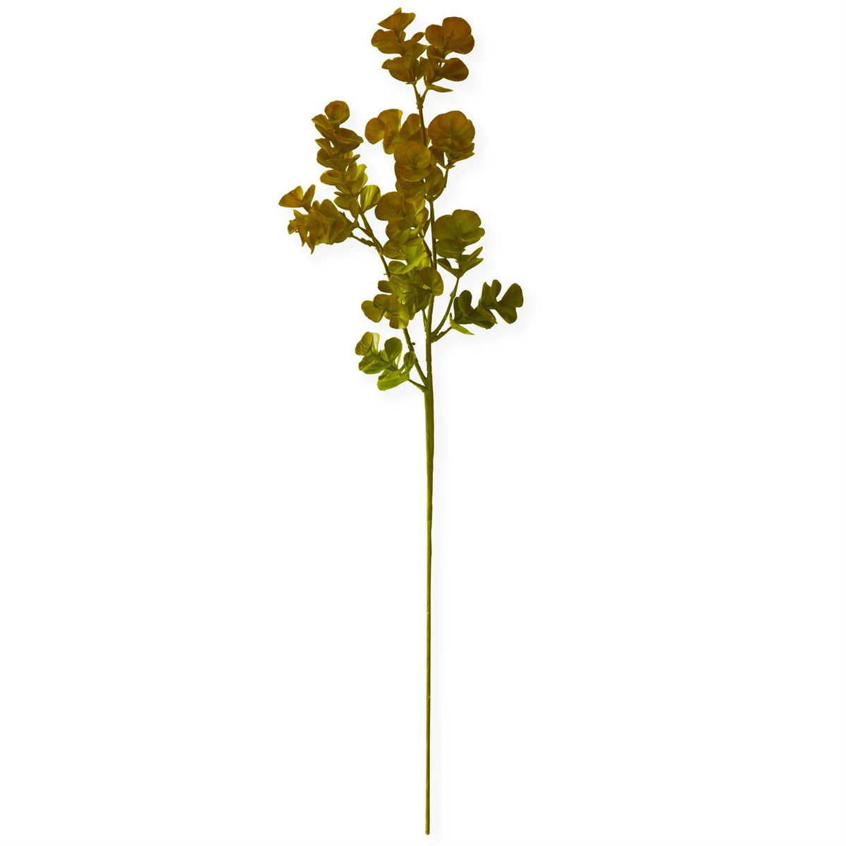 28 Inch Green w/Burgundy Tips Eucalyptus Stem