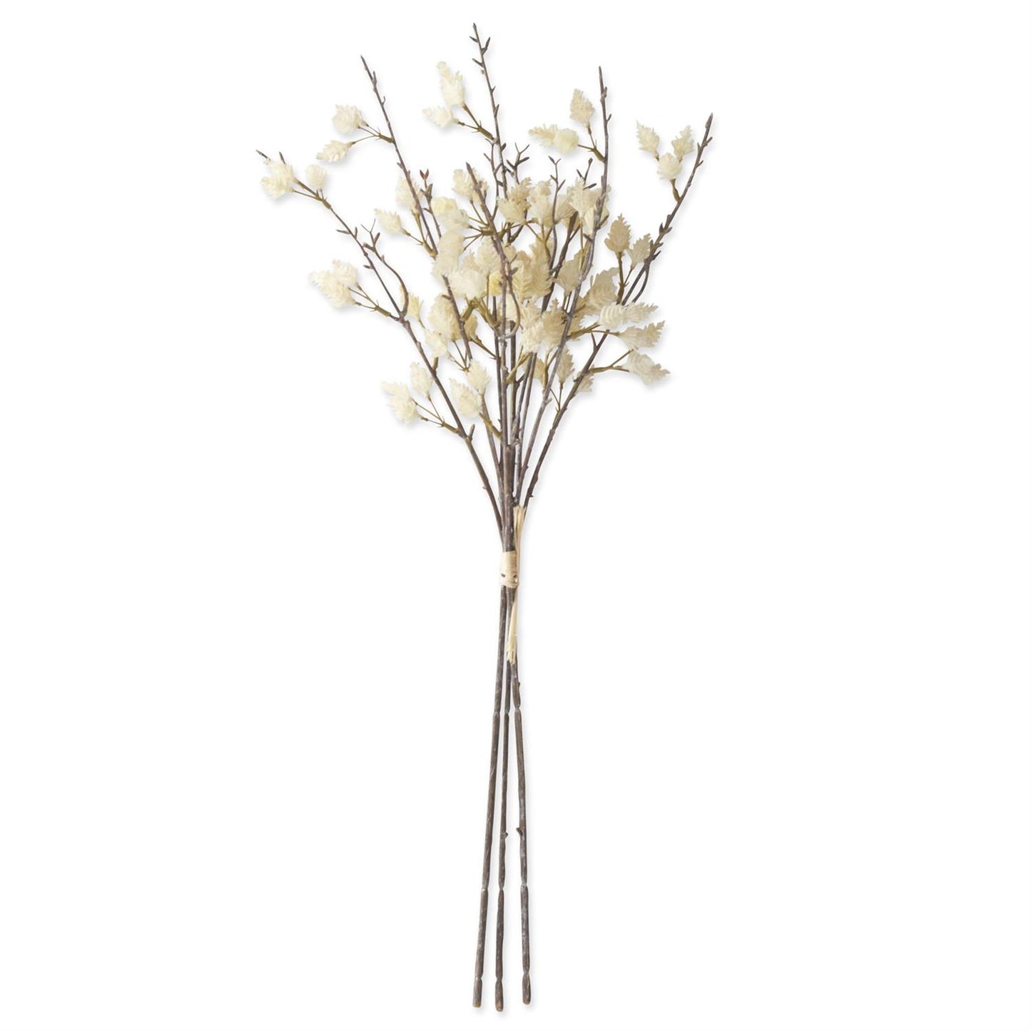 24 Inch Cream Straw Flower Bundle (3 Stems)