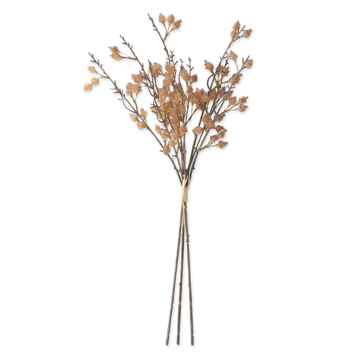 Tan faux straw flower bundle, 3 stems, 24 inches, tied at base with small papery blooms