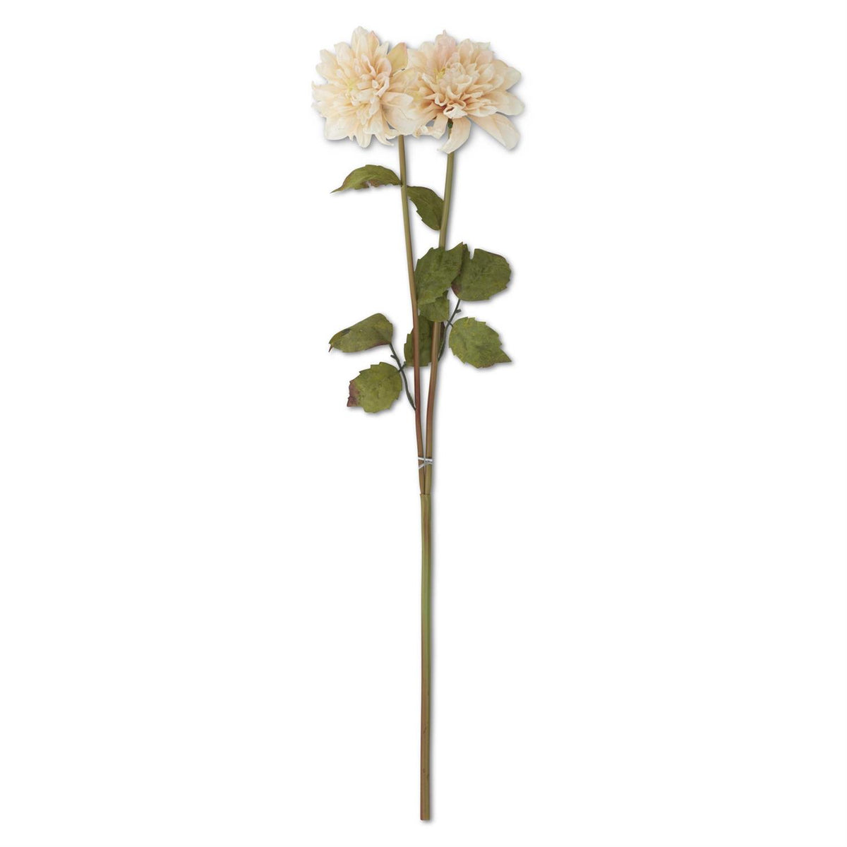 Cream faux dahlia stem, 24 inches, two open blossoms with green leaves"