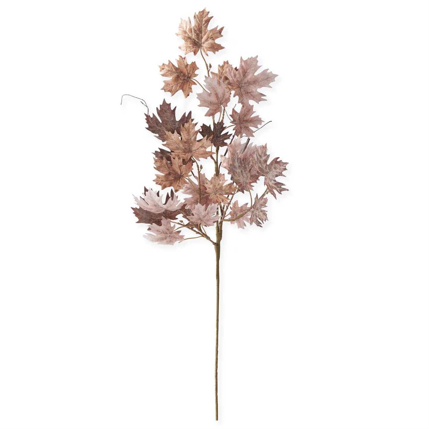 34 Inch Sugar Maple Leaf Stem
