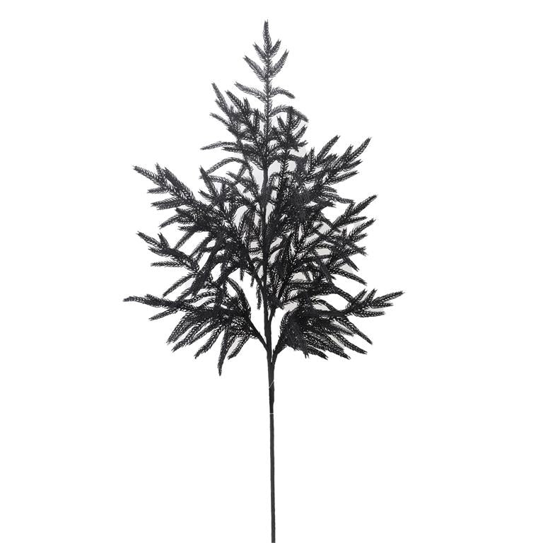 36 inch real touch black Norfolk pine stem with feathery matte black branches