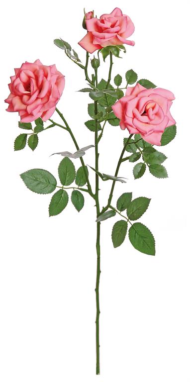 CURLED GARDEN ROSE X3, 24"; 3" BLOOM, DARK PINK 30% 0ff