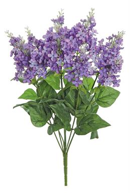 GARDEN LILAC BUSH X9, 21", 5" BLOOM, LILAC