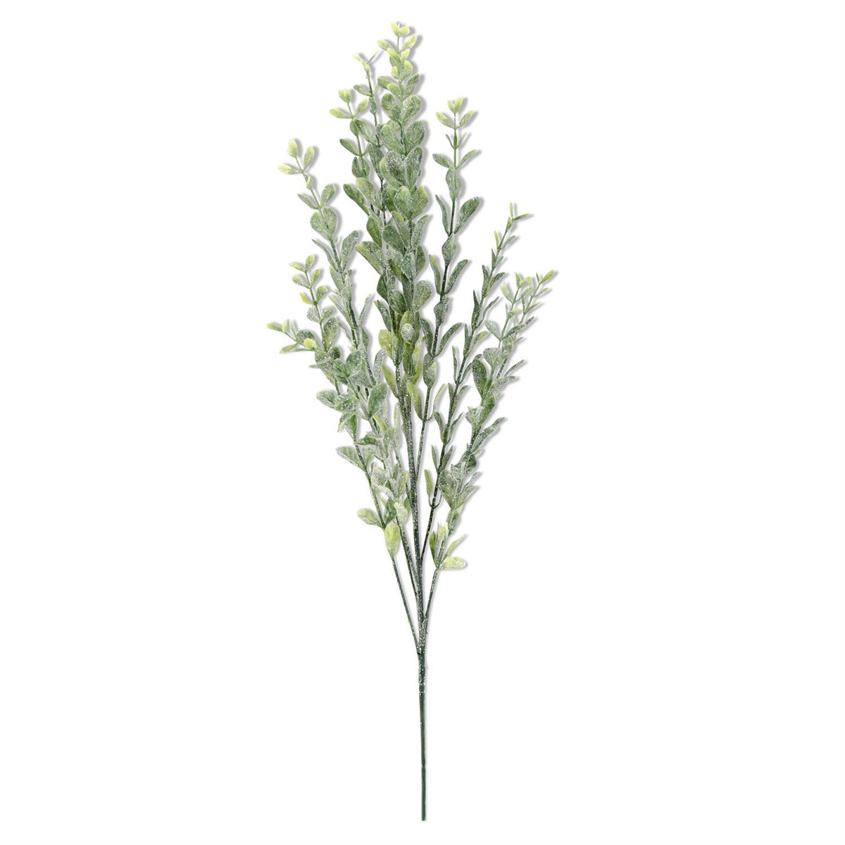 24-inch glittered green laurel leaf bush with small oval leaves on multiple slender branches.”