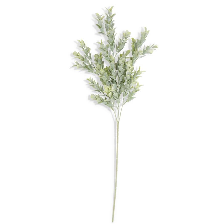 26 Inch Powdered Boxwood Stem