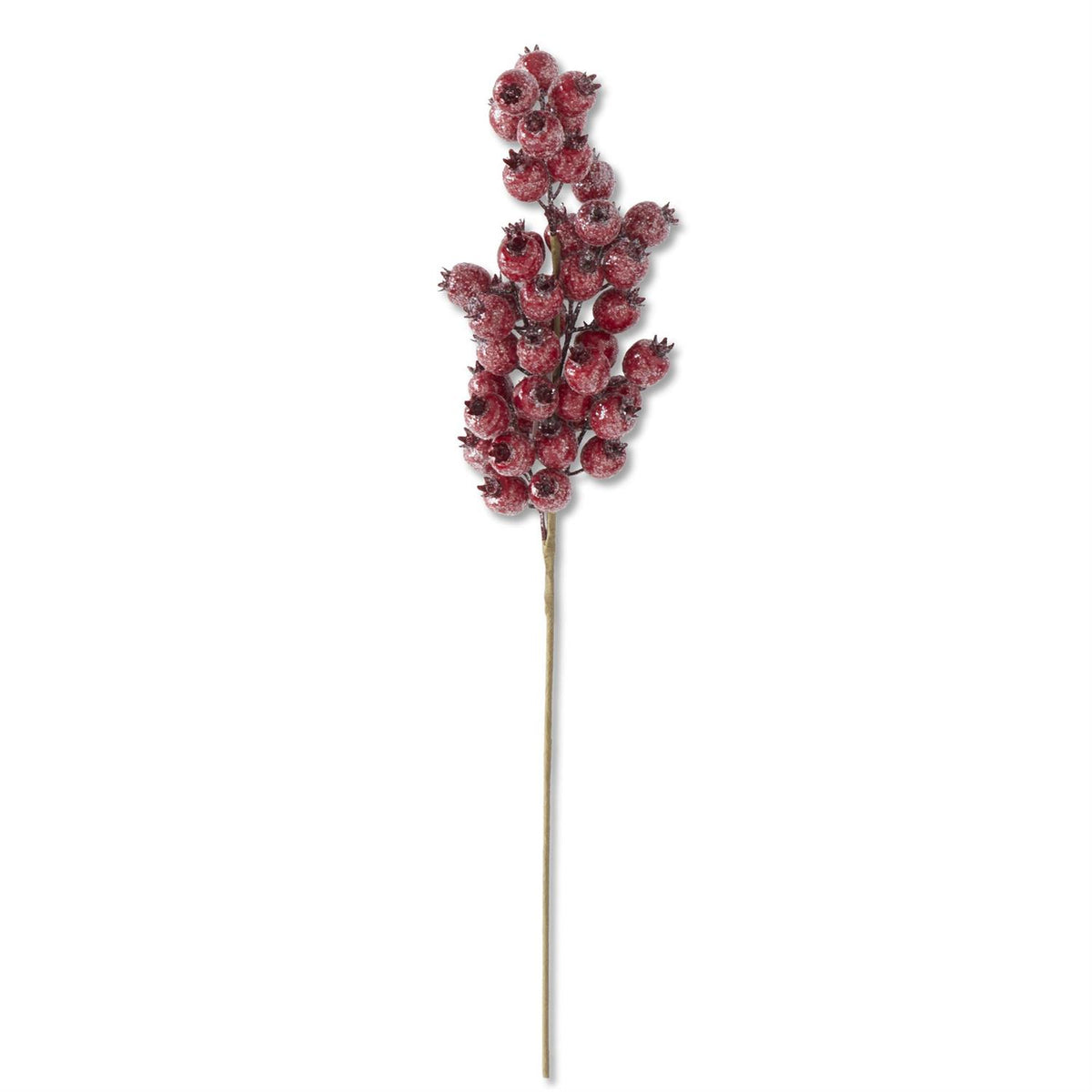24-inch glittered red rosehip stem with clustered red rosehips and dark pointed tips.”
