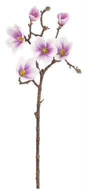 magnolia stem at 20 inches features 4 large blooms, 2 small buds, and 2 tiny buds in a romantic cream and pink palette. 