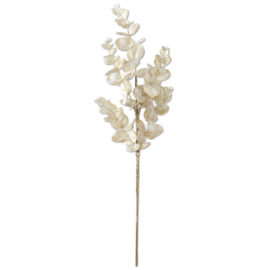26-inch snowy champagne eucalyptus stem