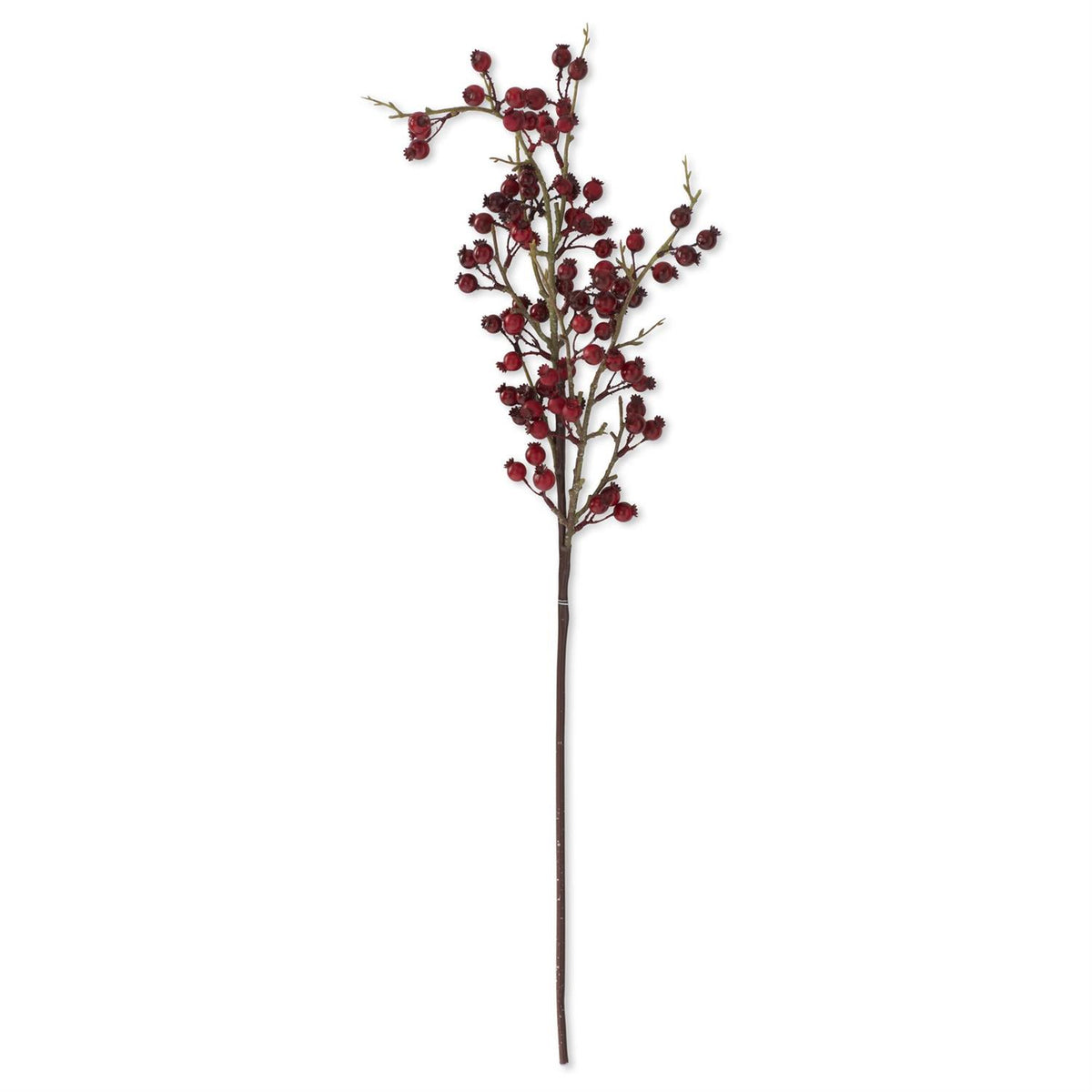 31-inch red berry twig stem⠋
