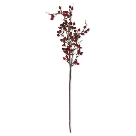 31-inch red berry twig stem⠋
