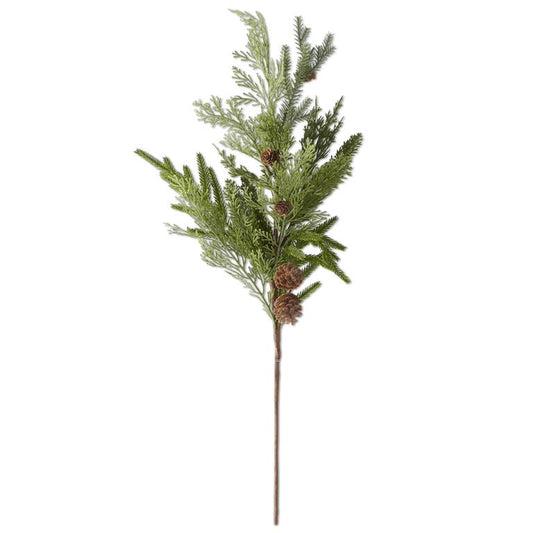 Mixed Pine Stem with Pinecones