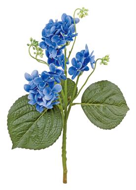 LACECAP HYDRANGEA, 15.75" 3" CLUSTER, BLUE