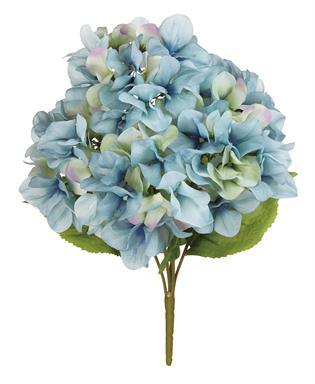 HYDRANGEA BUSH X5, 14.5", BLUE,