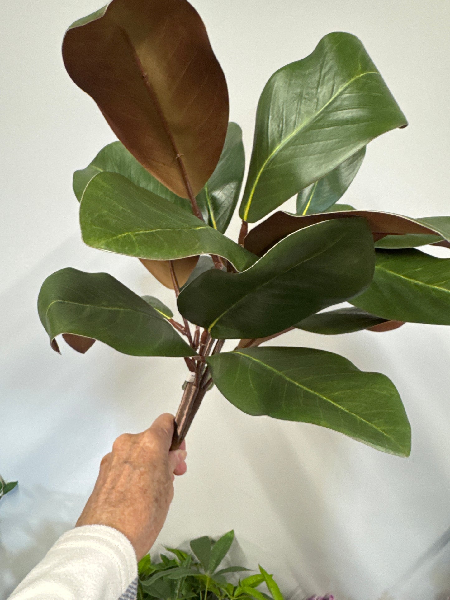 Premium 15" magnolia bush with realistic leaves. Perfect for wreaths, arrangements & home décor. Handcrafted quality greenery from The Wreath Room.