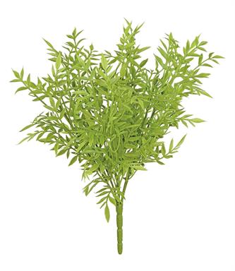 RUSCUS BUSH X6, 12", SOFT GREEN