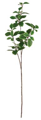 EUONYMUS LEAVES SPRAY, 36", GREEN/CREAM
