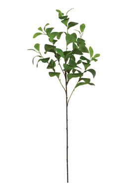 PADDLE LEAF SPRAY, 36", PE, GREEN