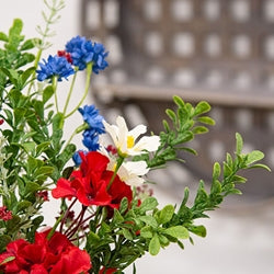 Colorful flowers with red, blue, and white blossoms in a garden setting.