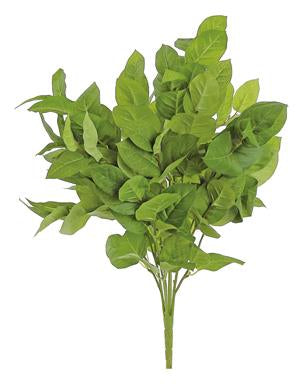"24 inch green salal leaf bush with large lush faux salal leaves on multiple branching stems, ideal for wreaths and floral arrangements"