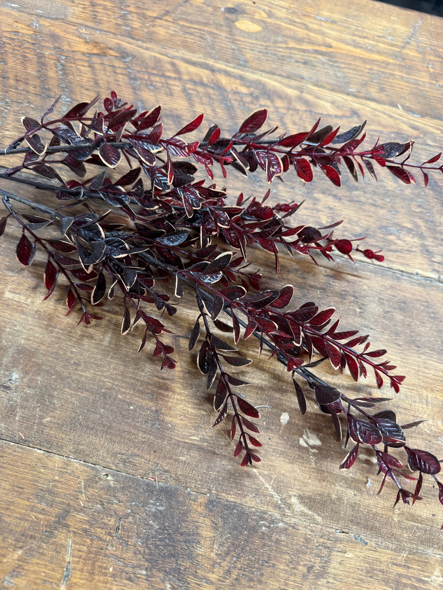 27 Inch Burgundy Boxwood Stem