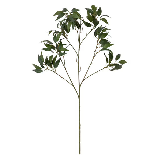 Osmanthus Stem