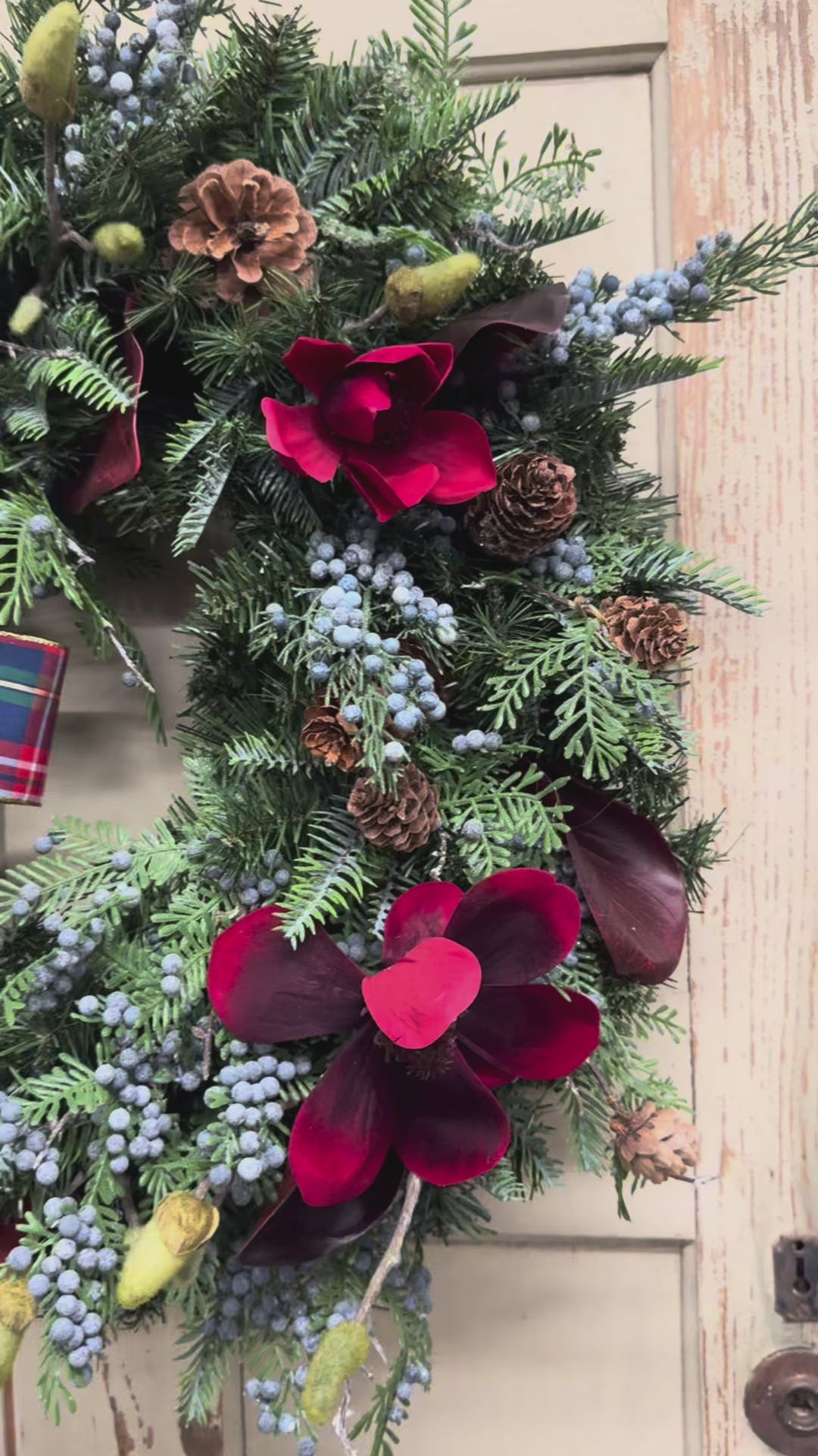 Video of Christmas pine wreath with red magnolias, burgundy leaves, blue juniper berries, pinecones, and a red, navy, and green plaid bow.”